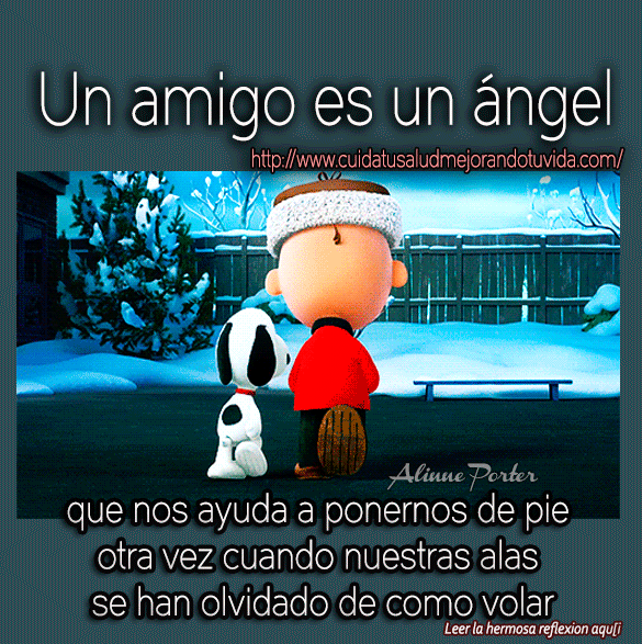 amigo