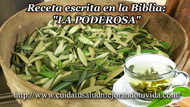 Receta escrita en la Biblia: «LA PODEROSA»